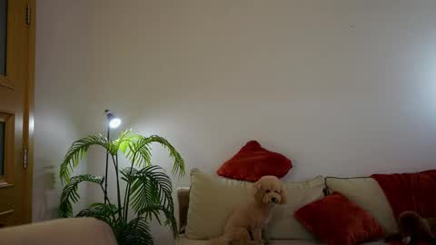 Molly online show from 04/24/26, 03:03