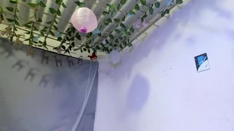 camila online show from 04/22/26, 03:09