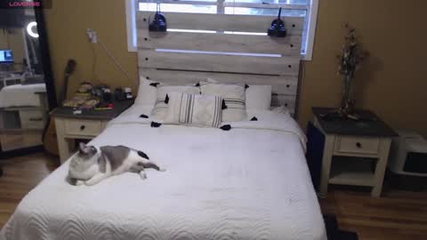 Texas Mamasita online show from 01/03/25, 03:33