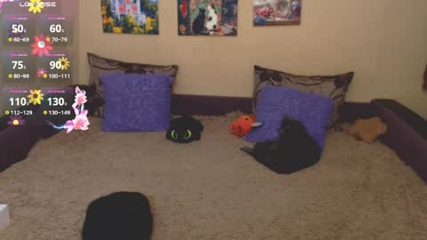 Jul online show from 03/26/26, 09:59