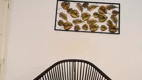 Snapshot of julieta_aguilar chatting on 10/10/25, 08:08 Juli online show from 10/10/25, 08:08