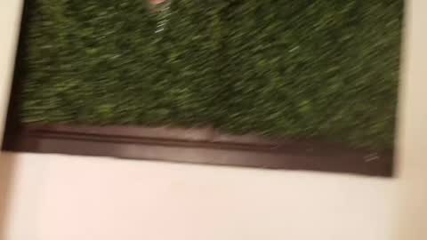 Juli online show from 03/13/26, 12:12