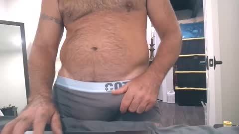 jumpertpro online show from 03/17/26, 05:44