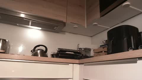 Gregor online show from 12/28/24, 09:20