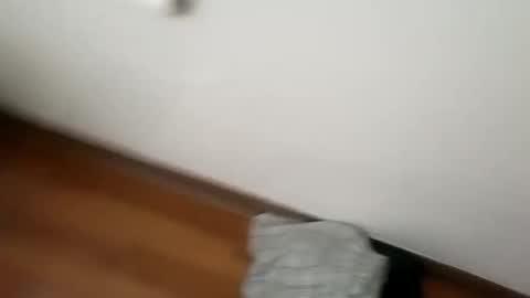 manolito online show from 01/01/25, 06:15