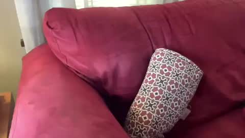 Snapshot of just4you101 chatting on 03/01/25, 06:11 Flirty influncer online show from 03/01/25, 06:11