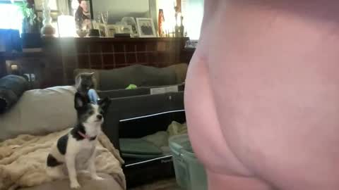 Snapshot of just4you101 chatting on 02/10/26, 09:52 Flirty influncer online show from 02/10/26, 09:52