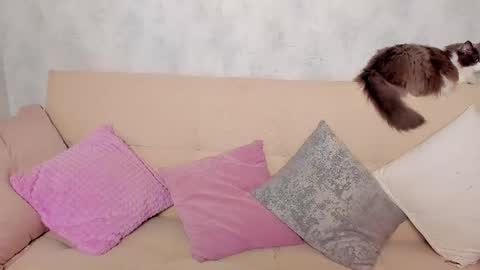 Alex Alexandra online show from 06/24/26, 01:15