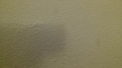 Just marlon online show from 02/23/25, 08:44