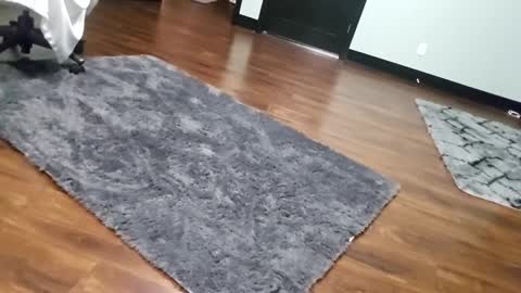 Tohiptwoquit online show from 01/15/26, 06:07