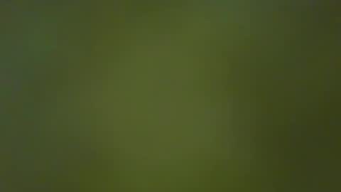 Snapshot of justbuff4 chatting on 01/23/25, 05:10 McKeefer online show from 01/23/25, 05:10