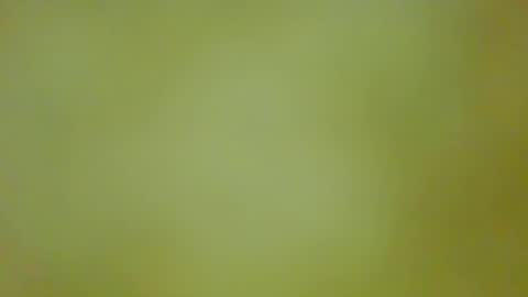 Snapshot of justbuff4 chatting on 09/13/25, 05:46 McKeefer online show from 09/13/25, 05:46