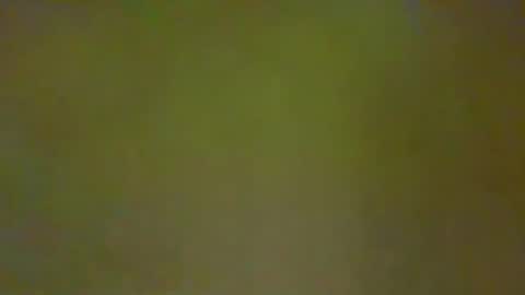 Snapshot of justbuff4 chatting on 02/21/26, 04:52 McKeefer online show from 02/21/26, 04:52