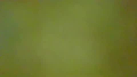 Snapshot of justbuff4 chatting on 06/05/26, 06:24 McKeefer online show from 06/05/26, 06:24