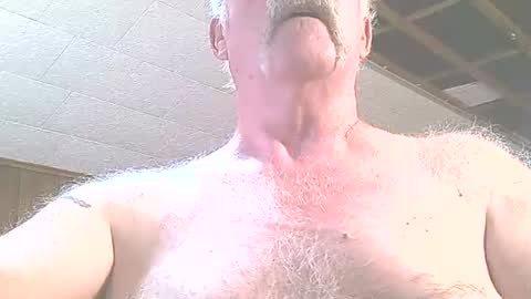 justdon online show from 06/24/26, 03:33