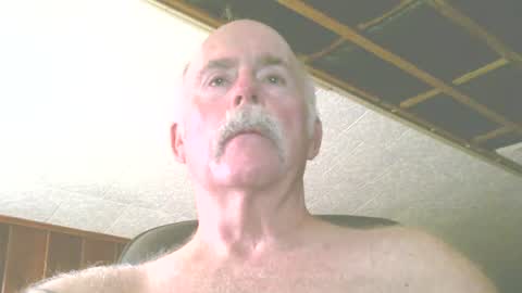 justdon online show from 07/15/26, 05:18