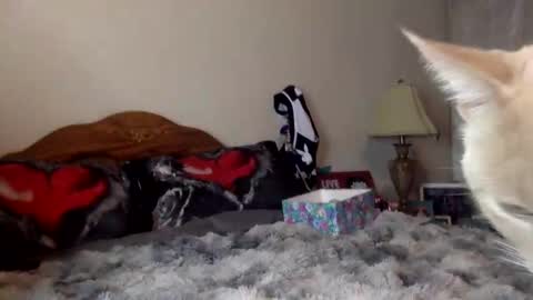 justicee4all online show from 01/16/26, 12:25