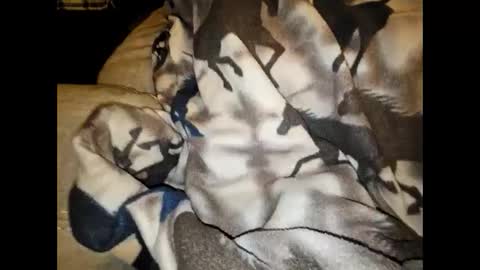 justswack online show from 12/07/24, 08:44