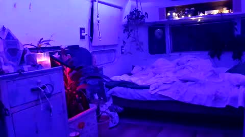 jwolf11851725 online show from 09/21/25, 08:05