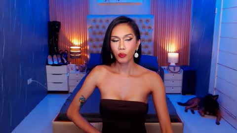 Jynx online show from 11/15/25, 12:52