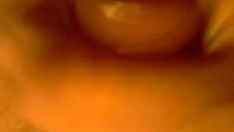 Snapshot of kaatingen chatting on 09/27/25, 12:10 kaatingen online show from 09/27/25, 12:10