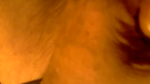 Snapshot of kaatingen chatting on 11/09/25, 03:10 kaatingen online show from 11/09/25, 03:10