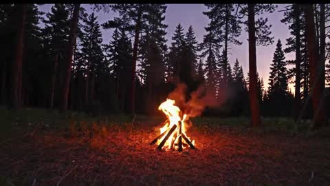 Kailee Smile online show from 01/09/26, 04:26