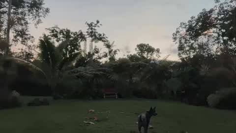 Kailee Smile online show from 04/24/26, 04:15