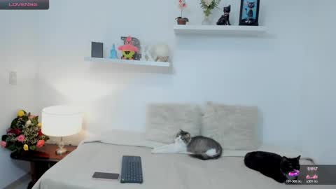 KailuaRose online show from 02/23/25, 01:35