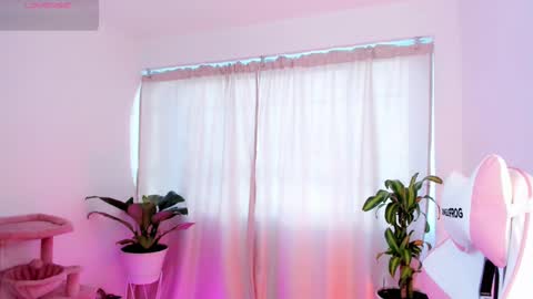 Kali Ka Please help me with your thumbs up its important   dont forget my birthday on October 26 online show from 02/19/25, 12:22