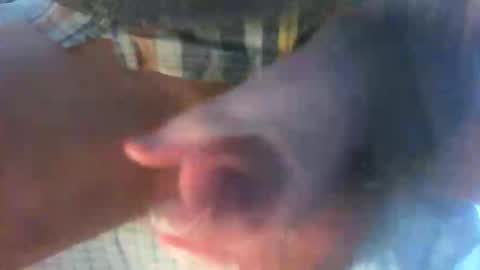 kamabo2 online show from 04/07/26, 05:35