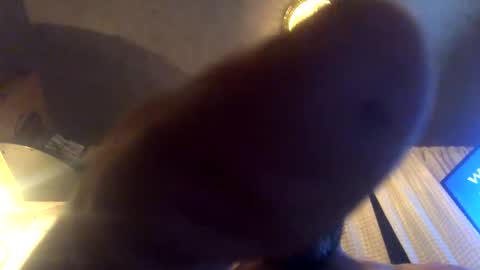 Tucker online show from 09/23/25, 08:06