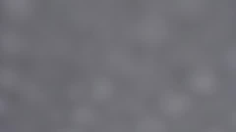 Emma online show from 01/23/25, 09:08