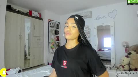 Snapshot of karla_santoro chatting on 12/24/24, 05:27 Karla Santoro online show from 12/24/24, 05:27