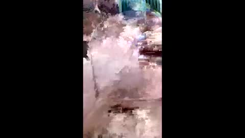 Karol online show from 04/22/26, 05:47