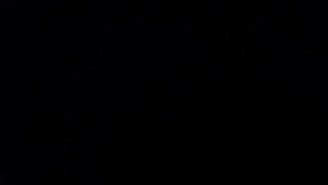 ARIANNA  online show from 01/31/25, 08:11