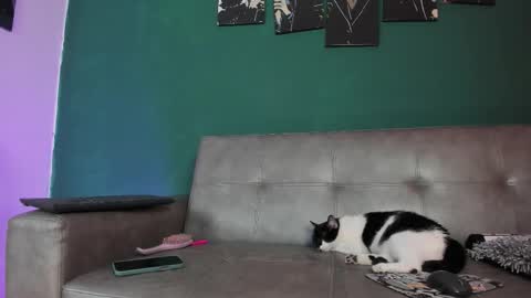 Snapshot of karolsweet_ chatting on 03/26/26, 10:37 KarolSweet online show from 03/26/26, 10:37