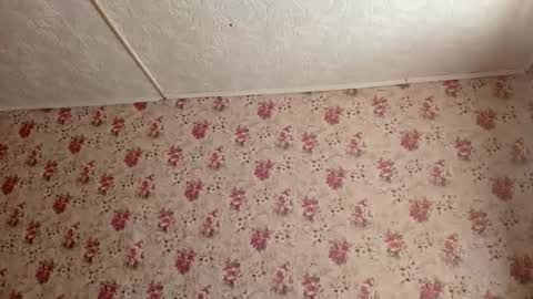 Snapshot of karoncabeza chatting on 02/27/26, 07:19 Sara online show from 02/27/26, 07:19