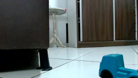 Snapshot of kasaltaradinho chatting on 10/09/25, 08:29 Tamires e Maicon online show from 10/09/25, 08:29