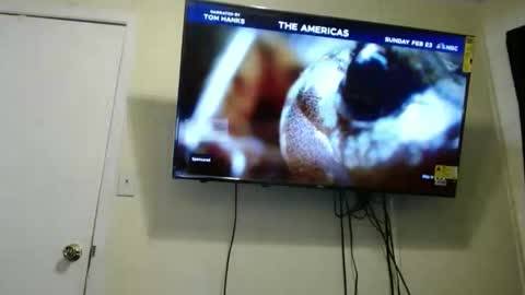 kashmoniy online show from 02/11/25, 07:44