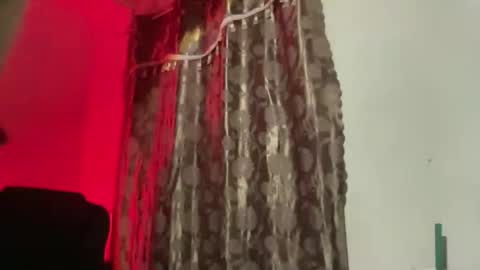 Majesty online show from 11/20/25, 07:35