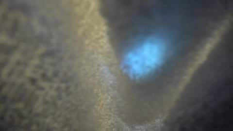 Kate  online show from 04/16/26, 10:16