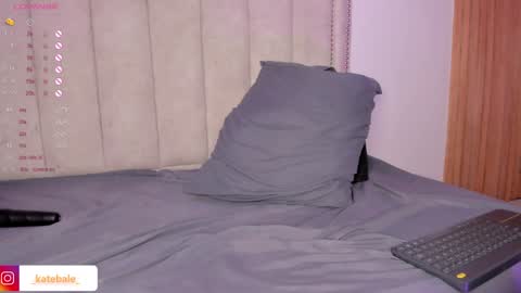 kateryn_bale online show from 01/28/25, 11:28