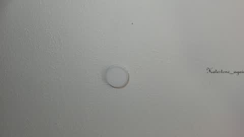 love meeee online show from 01/28/25, 04:52