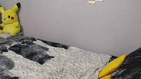 KathrineBerry online show from 01/31/25, 02:07