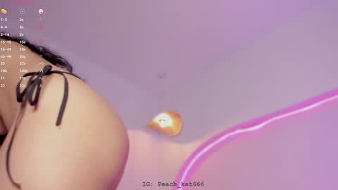 Snapshot of katiepeach_ chatting on 01/07/25, 01:46 Katy IGPeach kat666 online show from 01/07/25, 01:46