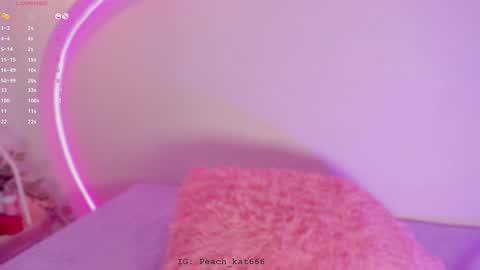 Snapshot of katiepeach_ chatting on 01/07/25, 04:48 Katy IGPeach kat666 online show from 01/07/25, 04:48