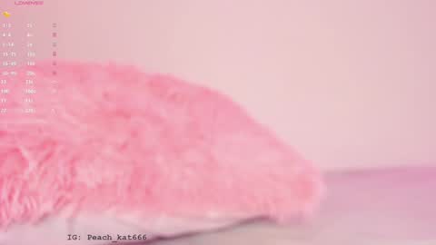 Snapshot of katiepeach_ chatting on 01/16/25, 03:35 Katy IGPeach kat666 online show from 01/16/25, 03:35