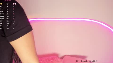 Snapshot of katiepeach_ chatting on 01/18/25, 12:15 Katy IGPeach kat666 online show from 01/18/25, 12:15