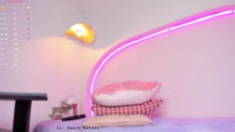 Snapshot of katiepeach_ chatting on 01/22/25, 03:40 Katy IGPeach kat666 online show from 01/22/25, 03:40